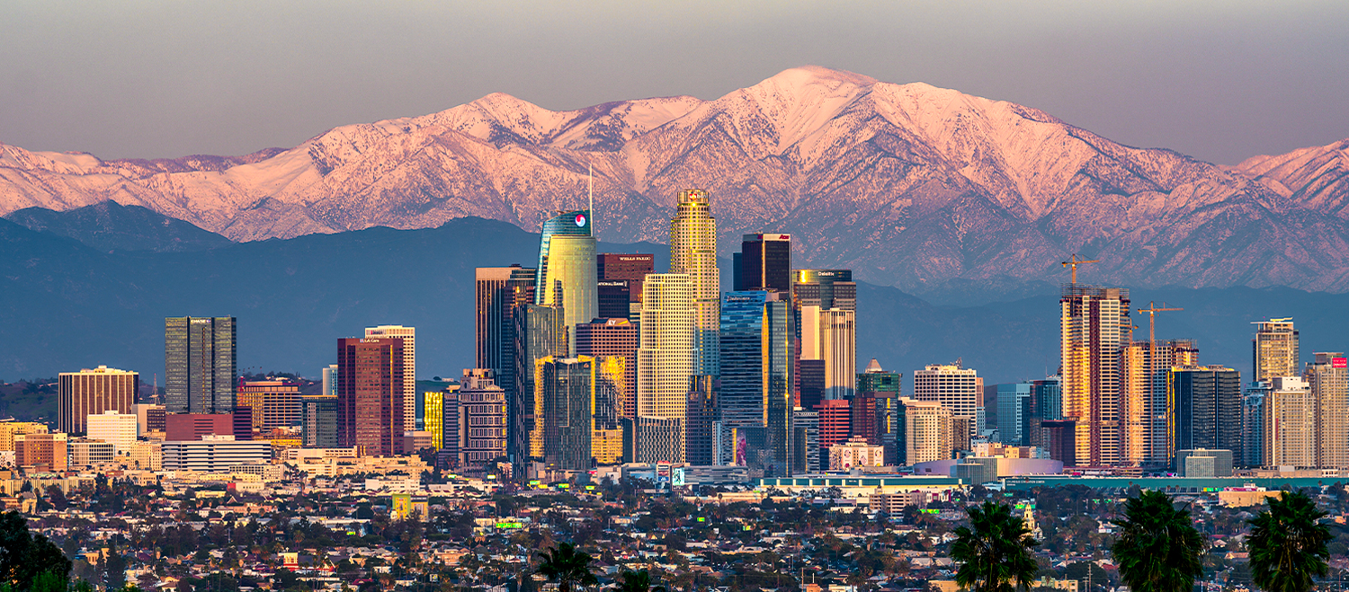 Los Angeles Banner